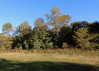 Everett Crowley Park